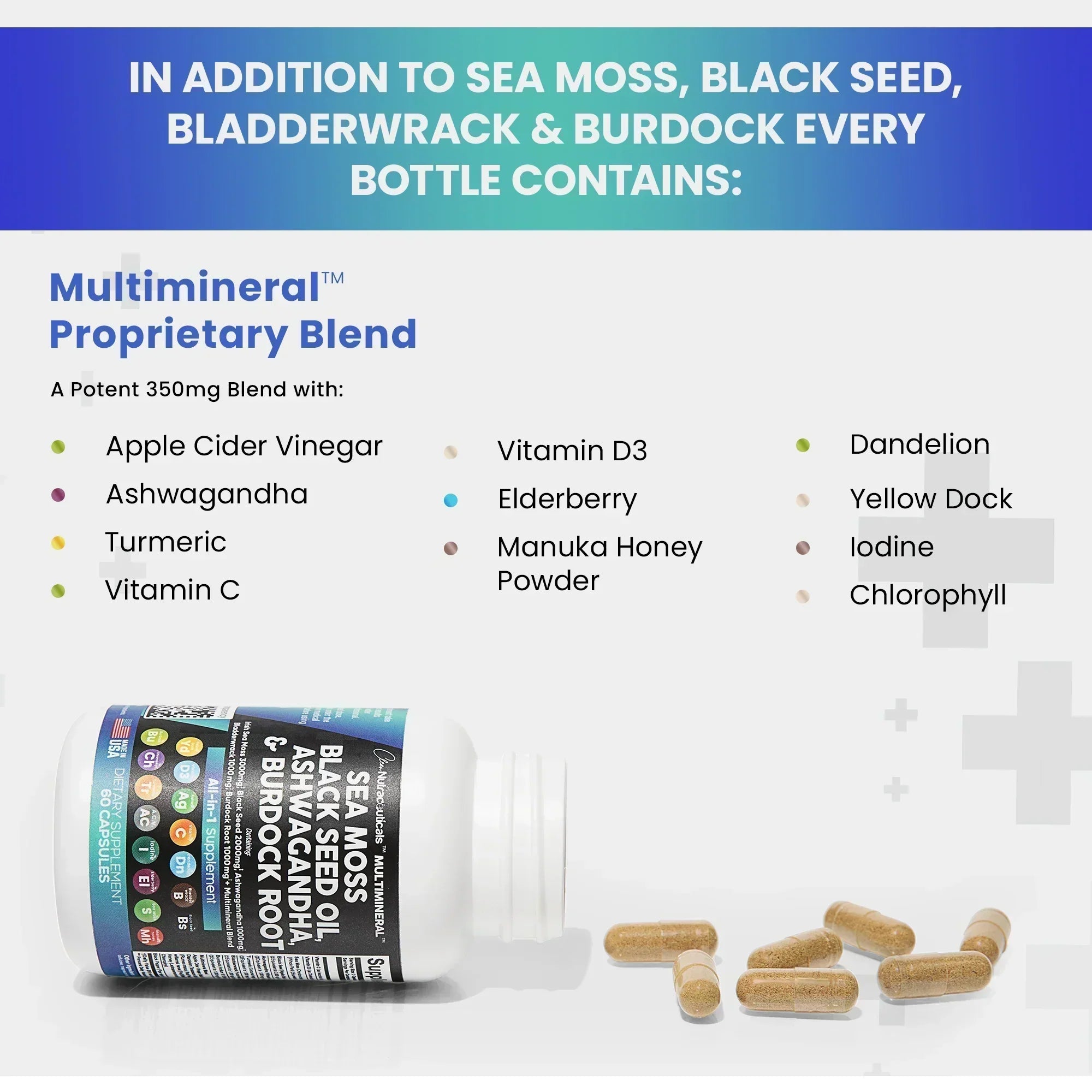 ENLYTE™  - Multimineral Sea Moss Black Seed